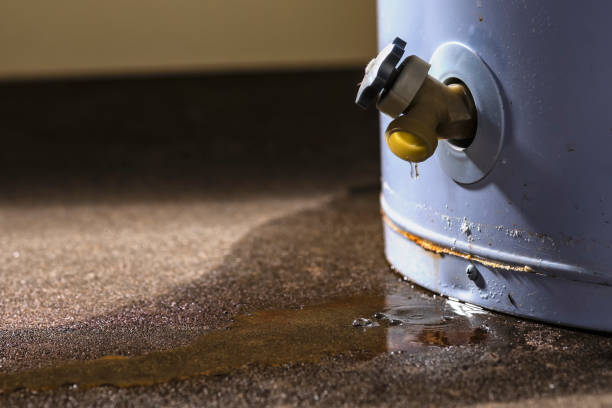 Professional Water damage restoration in Eagle Pass, TX