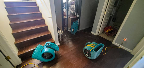 Best Ceiling water damage repair  in Eagle Pass, TX