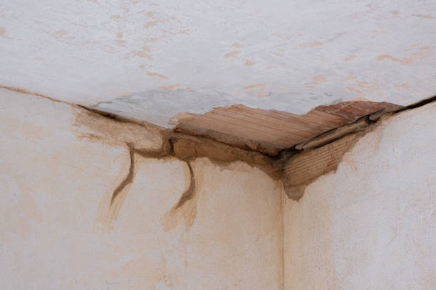 Best Ceiling water damage repair  in Eagle Pass, TX