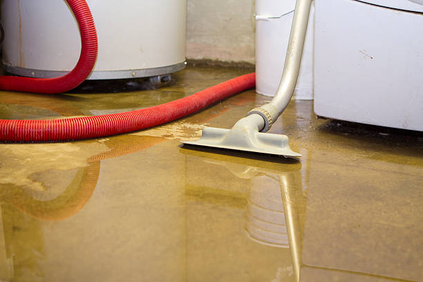 Best Ceiling water damage repair  in Eagle Pass, TX
