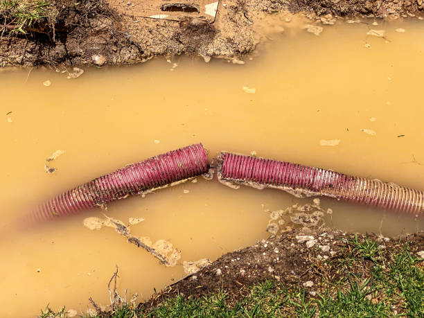 Best Water damage contractors near me  in Eagle Pass, TX