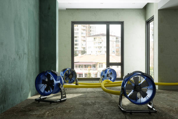 Best Sewage cleanup and water damage restoration  in Eagle Pass, TX